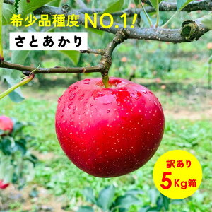 y15%ItN[|zz1110܂Łz󏭕ixNO.1IuƂ5L󂠂iv_ѐYb  쌧Y ܖ MBY Yn  5L gp ʕ t[c Nx