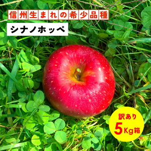 y10%ItN[|zz1130܂ŁzuVimzby5L󂠂iv _ѐYb  쌧Y ܖ MBY Yn  5L gp ʕ t[c NxQ