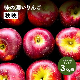 【LINE友達 限定300円クーポン】10月5日から収穫開始！「秋映3キロ箱A品B品」リンゴ三兄弟 農林水産大臣賞 りんご 長野県産 安曇野 信州産 産地直送 送料無料 3キロ 箱使用 果物 フルーツ 鮮度抜群 超希少品種 見栄え抜群 味抜群