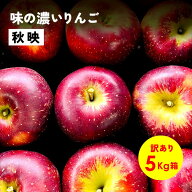 【15%オフクーポン9月15日まで】10月5日から発送開始「秋映5キロ箱訳あり品」リンゴ三兄弟 農林水産大臣…