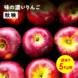 【LINE友達 限定300円クーポン】10月5日から発送開始「秋映5キロ箱訳あり品」リンゴ三兄弟 農林水産大臣賞 りんご 長野県産 安曇野 信州産 産地直送 送料無料 5キロ 箱使用 果物 フルーツ 鮮度抜群 超希少品種 見栄え抜群 味抜群