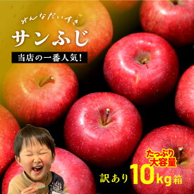 【LINE友達限定300円クーポン】11月18日発送開始「サンふじ10キロ箱訳あり品」農林水産大臣賞 訳あり りんご サンふじ ふじ 長野県産 安曇野 信州産 産地直送 10キロ 箱使用 果物 フルーツ 鮮度抜群 訳アリ 格外