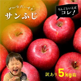 【10%オフクーポン配布中11月30日まで】追加予約分12月3日から発送開始「サンふじ5キロ箱訳あり品」農林水産大臣賞 訳あり りんご サンふじ ふじ 長野県産 安曇野 信州産 産地直送 送料無料 5キロ 箱使用 果物 フルーツ 鮮度抜群