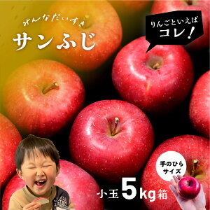 y10%ItN[|zz1130܂Łz1117珇uTӂ5LAiBivHׂTCYi2033ʒxj _ѐYb  S 5L gp  Tӂ ӂ 