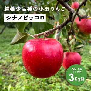 【5%オフクーポン配布中10月31日まで】「シナノピッコロ3キロ箱A品B品」 農林水産大臣賞 りんご 長野県産 安曇野 信州産 産地直送 送料無料 3キロ 箱使用 果物 フルーツ 鮮度抜群