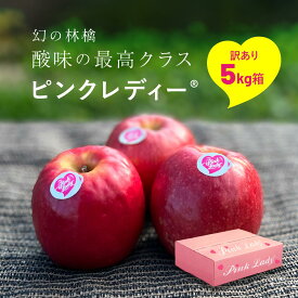 【LINE友達 限定300円クーポン】発送中 「ピンクレディ5キロ箱訳あり品」 農林水産大臣賞 エコファーマー 長野県 りんご リンゴ 林檎 Apple 産地直送 家庭用 果物 酸っぱい ピンクレディー PinkLady pinklady