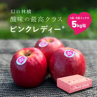 12月14日から発送開始「ピンクレディ5キロ箱A品B品」16玉〜33玉まで 酸味 長野県産 安曇野 りんご リンゴ…