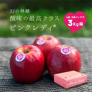 1211甭JnusNfB3LAiBi~bNXv15ʂ܂ ʕi _ѐYb 쌧Y  S ь Apple Yn  ƒp ʕ _ς sNfB[