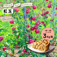 【15%オフクーポン9月15日まで】9月16日から収穫開始！アップルパイ タルトタタン「紅玉3キロ箱A品B品」 …