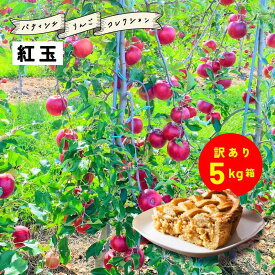 【LINE友達 限定300円クーポン】9月16日から収穫開始！アップルパイ タルトタタン 作りにおすすめ 「紅玉5キロ箱訳あり品」 紅玉 ジョナサン 加工 生食 訳あり お買い得 格外 お菓子作り 送料無料 農林水産大臣賞 りんご 長野県産 安曇野 信州産 産地直送