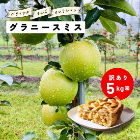 【LINE友達 限定300円クーポン】10月22日から発送開始 アップルパイ タルトタタン おすすめ 「グラニースミス5キロ箱訳あり品」農林水産大臣賞 エコファーマー 5キロ りんご 長野県産 安曇野 信州産 産地直送 送料無料 果物