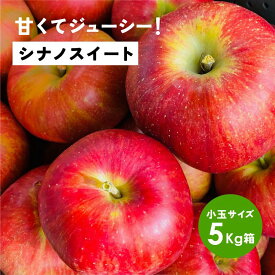 【LINE友達 限定300円クーポン】10月14日から収穫開始！「シナノスイート5キロ箱小玉A品B品」20玉〜33玉以下リンゴ三兄弟 農林水産大臣賞 りんご 長野県産 安曇野 信州産 産地直送 送料無料 5キロ 箱使用 果物 フルーツ 鮮度抜群 希少品種 味抜群