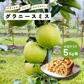 【LINE友達 限定300円クーポン】10月22日から発送開始 アップルパイ タルトタタン おすすめ 「グラニースミス5キロ箱小玉A品B品」農林水産大臣賞 エコファーマー 5キロ りんご 長野県産 安曇野 信州産 産地直送 送料無料 果物
