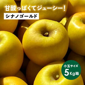 【LINE友達 限定300円クーポン】10月21日から発送開始「シナノゴールド5キロ箱小玉A品B品」上品な酸味 農林水産大臣賞 りんご 長野県産 安曇野 信州産 産地直送 送料無料 5キロ 箱使用 果物 フルーツ 鮮度抜群 超希少品種