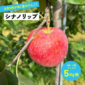 【15%オフクーポン配布中8月21日まで】終わります！早い者勝ち！「シナノリップ5キロ箱A品B品」 農林水産大臣賞 夏リンゴ 信州産 産地直送 長野県限定品種 りんご 長野県産 安曇野 送料無料 果物 フルーツ