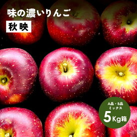 【LINE友達 限定300円クーポン】10月5日から収穫開始！「秋映5キロ箱A品B品」注意 18玉〜28玉 小玉が入る可能性あり リンゴ三兄弟 農林水産大臣賞 りんご 長野県産 安曇野 信州産 産地直送 送料無料 5キロ 箱使用 果物 フルーツ 鮮度抜群 超希少品種
