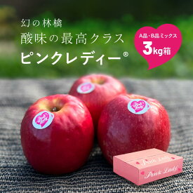 12月14日から発送開始「ピンクレディ3キロ箱A品B品」6～16玉 小玉品種 農林水産大臣賞 長野県産 りんご リンゴ 林檎 Apple 産地直送 贈答 家庭用 果物 酸っぱい ピンクレディー