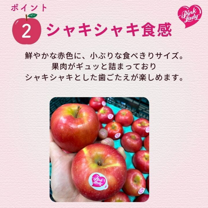 全商品オープニング価格特別価格 ピンクレディ ４個セット １ｋｇ程度 皮ごと食べるピンクのりんご 長野県産 Trademarketingforce Com Br