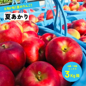 あと3日です！幻の夏りんご【8月10日まで15%オフクーポン配布中】「夏あかり3キロ箱A品B品」 農林水産大臣賞 夏リンゴ 信州産 産地直送 長野県限定品種 りんご 長野県産 安曇野 信州産 産地直送 送料無料 果物 フルーツ 鮮度抜群