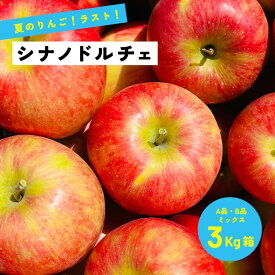 【15%オフクーポン配布中8月21日まで】9月9日から収穫開始！シナノドルチェ3キロ箱A品B品ミックス 食べ応え抜群 甘味も酸味も両方楽しみたい！「シナノドルチェ3キロ箱A品B品」農林水産大臣賞 りんご 長野県産 安曇野 信州産 果物