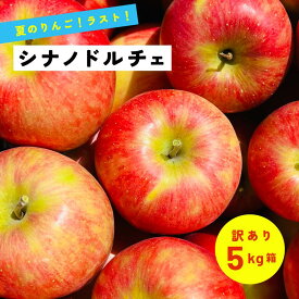 【15%オフクーポン配布中8月21日まで】9月9日から発送開始！食べ応え抜群 甘味も酸味も両方楽しみたい！「シナノドルチェ5キロ箱訳あり品」 農林水産大臣賞 りんご 長野県産