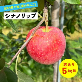 8月18日から順次発送開始 人気爆発中 シナノリップ 訳あり 5キロ箱 農林水産大臣賞 夏リンゴ 希少品種 長野県限定品種 「シナノリップ5キロ箱訳あり品」りんご 長野県産 安曇野 信州産 産地直送 送料無料 果物