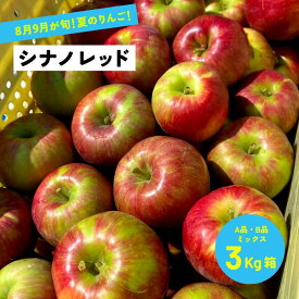 8月12日から順次発送開始 酸っぱい 夏りんご シナノレッド3キロ箱 A品中B品ミックス サビ、小傷あり 収穫、発送「シナノレッド3キロ箱A品B品」 農林水産大臣賞 りんご 長野県産 安曇野 信州産 産地直送 送料無料 果物 フルーツ