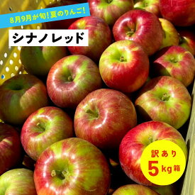 8月15日から順次発送開始すーっぱい夏りんご！！ 「シナノレッド5キロ箱訳あり品」夏りんご 8月りんご 酸っぱいりんご 農林水産大臣賞 りんご 長野県産 安曇野 信州産 産地直送 送料無料 果物 フルーツ 鮮度抜群