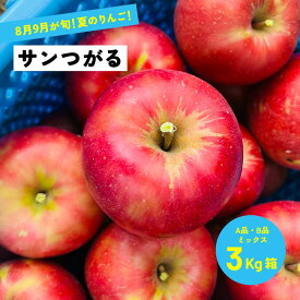 8月25日から収穫 サンつがる 3キロ箱 A品B品ミックス 6から15玉 サビ小傷あり「サンつがる3キロ箱A品B品」農林水産大臣賞 りんご 長野県産 安曇野 信州産 産地直送 送料無料 果物 フルーツ 鮮度抜群 産地直送