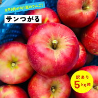 【15%オフクーポン9月15日まで】8月19日から発送開始予定 訳あり5キロ箱サンつがる！！あまーーい夏リン…