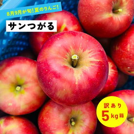 8月25日から収穫 訳あり5キロ箱サンつがる！！あまーーい夏リンゴ！！「サンつがる5キロ箱訳あり品」農林水産大臣賞 りんご 長野県産 安曇野 信州産 産地直送 送料無料 果物 フルーツ 鮮度抜群