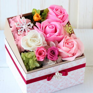 Mtg {bNX lC ސEj a v[g  vU[uht[ {bNXt[ XNGA BOXt[ \[vt[  a  ̓ lC  av[g t