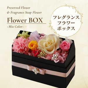  Mtg vU[uht[ v[glC Mtg ސEj LOi v[g FB t[{bNX a av[g lC vU[uh    킢  