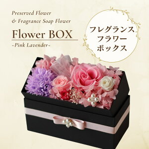  Mtg vU[uht[ v[glC Mtg ސEj LOi v[g FB t[{bNX a av[g lC vU[uh    킢  