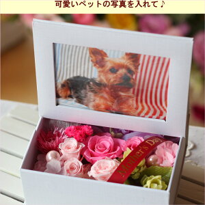 vU[uht[ ʐ^ v[g  tHgt[ j  {bNXt[ t[{bNX ސEj j av[g  oYj ybg җj