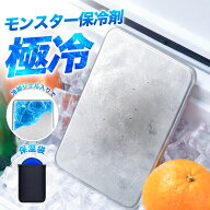 【半額以下！酷暑SALE1,790円〜】 保冷剤 ステンレス 保冷剤 長時間 強力保冷 小型 保温バッグ クーラー…