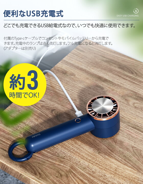 楽天市場】楽天1位☆テレビ紹介【クーポンで1点2,180円】 ハンディ 