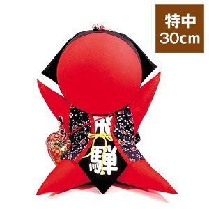 ڂ  }XRbg 30cm  сEYFE^