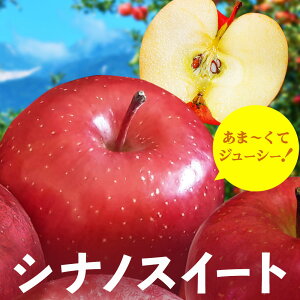  VimXC[g MBY 5kg 10{` S ь  Mtg  2025Nx\