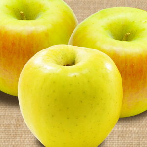  ܖ MBY 5kg 11{` Mtg       S ь  2025Nx\