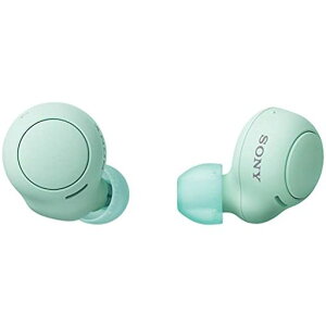 �\�j�[(SONY) ���S���C�����X�C���z�� WF-C500 : /�y�ʏ��^5.4g/�����x�ʘb�i��/�ȒP�y�A�����O/IPX4�h�H���\/�A�C�X�O���[�� WF-C500 GZ