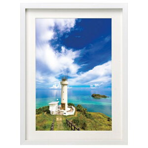 HAKUBA �z�� MM-01 ���C�h4�� �ؐ� �z���C�g FWMM01-WTW4