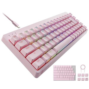 �G���R�� �Q�[�~���O�L�[�{�[�h V-custom VK300S �L�� RGB �e���L�[���X 65%�T�C�Y ���J�j�J�� �l�I�N���b�`�L�[�L���b�v �⎲ �X�s�[�h���j�A USB�|�[�g���� �s���N TK-VK300SPN