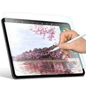�G���R�� iPad Pro 11�C���` ��4/3/2/1���� (2022/2021/2020/2018�N) iPad Air ��5/4���� (2022/2020�N) �ی�t�B���� �y�[�p�[�e�N�X�`�� ���̂悤�ȕ`���S�n �㎿���^�C�v ���˖h�~
