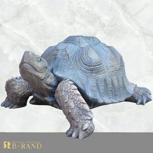 IuWF u T Vo[   LL _  CeA fBXvC CeA G  ItBX o[ JtF  a v[g j Mtg A