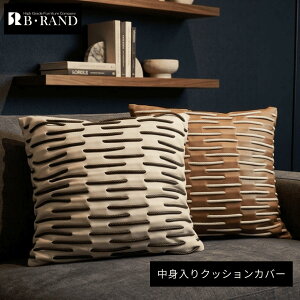 45×45cm �N�b�V���� �S2�F �N�b�V�����t�� �J�o�[�t�� �Z�b�g �����` �l�p �I�V���� �f�U�C�� �ς���� ������ ���� ���������� 25007