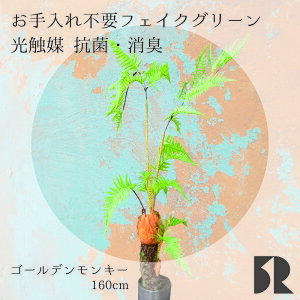 S[fL[ ^Jr lHϗtA 160cm G} R hL ϗtA  tFCNO[ CeAO[ A rO  v[g T JtF Vz Mtg AXN