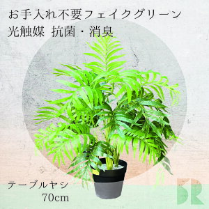 e[uV lHϗtA 60cm G} R hL ϗtA  tFCNO[ CeAO[ sv ȒP ͂Ȃ 킩Ȃ A  rO  v[