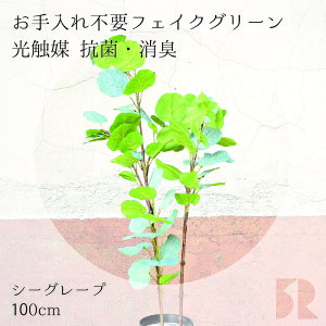 V[O[v lHϗtA 100cm G} R hL ϗtA  tFCNO[ CeAO[ sv ȒP ͂Ȃ 킩Ȃ A  rO  v