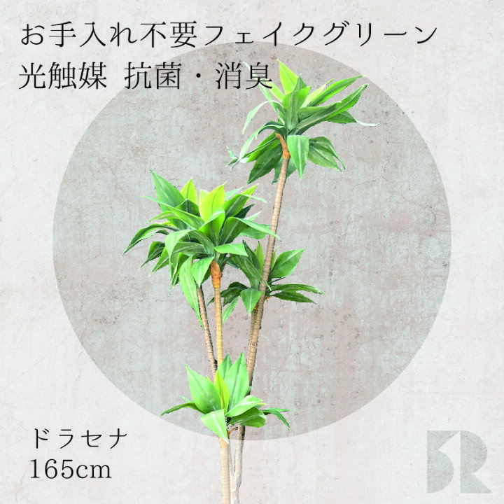 楽天市場】ドラセナ 人工観葉植物 165cm 光触媒 抗菌 防臭 観葉植物 